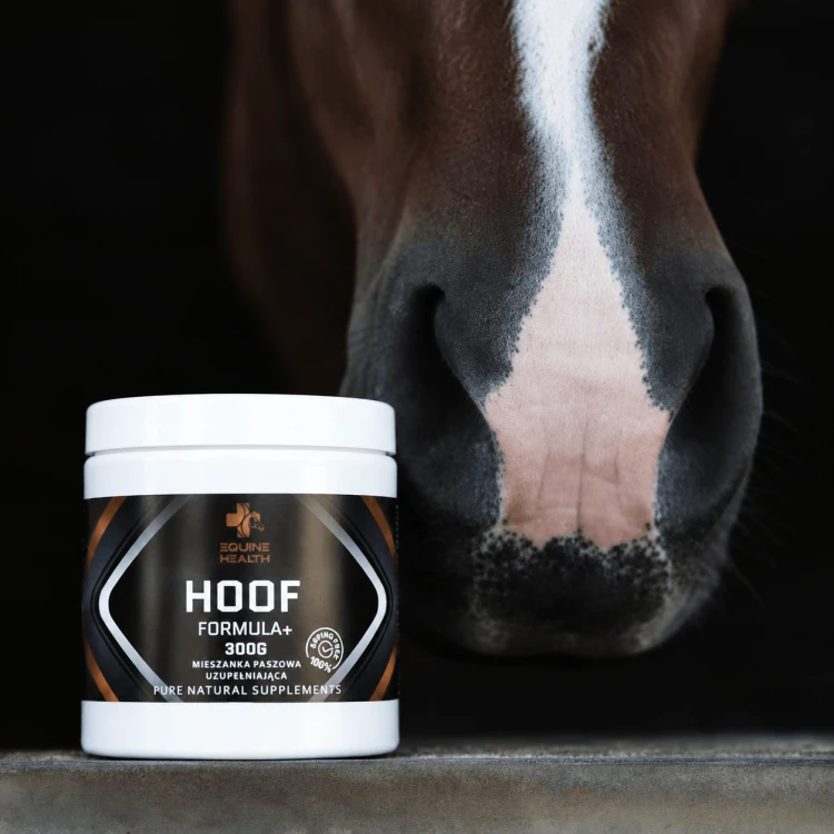 Hoof.png