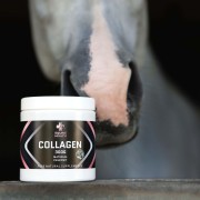Collagen.jpg