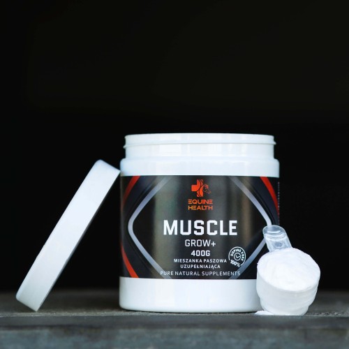 muscle_pokrywka_1x1.jpg